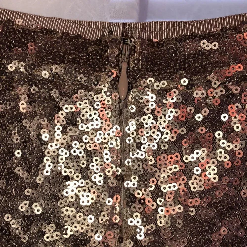 Ann Taylor 4 Sequined A line Flowy Metallic Skirt with Back Zip - Picture 7 of 13